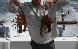 crayfishing cape town charter