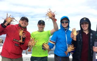 Crayfish Cape Town West Coast Rock Lobster