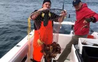 Crayfish Cape Town West Coast Rock Lobster