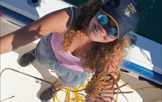 crayfishing cape town hooked on africa fishing charters cape town