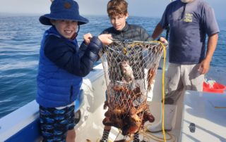 crayfishing cape point fishing charter