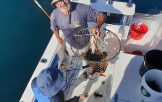crayfishing cape point fishing hout bay