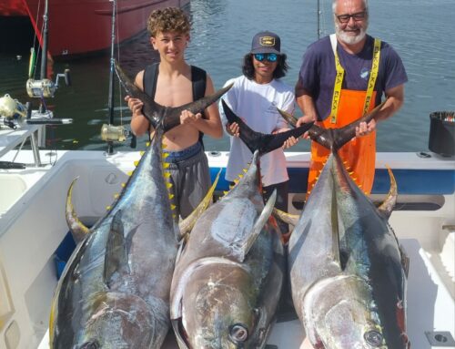 Recent Tuckers Tackle Tuna Derby