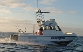 hooked on africa fishing specials – cape town fishing charters – 03 hooked on africa fishing specials - cape town fishing charters