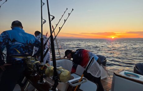hooked on africa fishing charters cape town 6