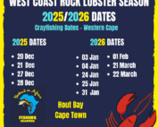 crayfishing season 2025 2026 cape town crayfishing dates - west coast rock lobster fishing dates 2025-2026 hooked on africa