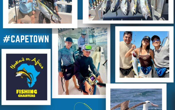 Hooked On Africa Fishing Charters Captains Log (1080 × 1920 px) (Instagram Post) - Hooked On Africa Fishing Charters Captains Log Feb 2026 - Cape Town Fishing Charter Company