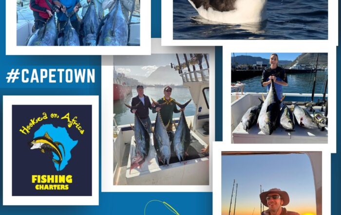Hooked On Africa Fishing Charters Captains Log May 2026 - Cape Town Fishing Charter Company