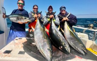 Cape Town Fishing Charter Company – Hooked On Africa Captains Log 111 Cape Town Fishing Charter Company - Hooked On Africa Captains Log 111