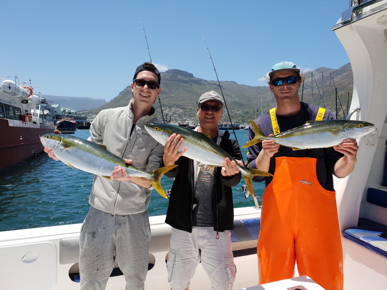 Cape-town-Yellowtail-Fishing-Hout-Bay-Cape-Town-Fishing-Charters-2a Cape-town-Yellowtail-Fishing-Hout-Bay-Cape-Town-Fishing-Charters