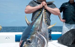 Tuna Fishing Cape Town Tuna Fishing Cape Town